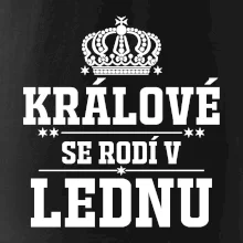 Králové se rodí v lednu
