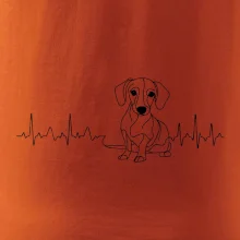 EKG křivka jezevčík