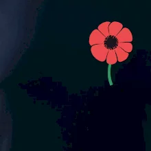 Vlčí mák ikonka na prsu