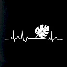 EKG Monstera