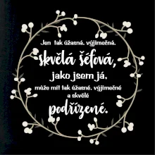 Jen tak skvělá šéfová jako jsem já