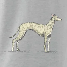 Vintage Whippet