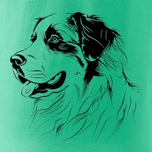 Bernský salašnický pes černá kresba