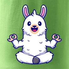 Yoga meditace - lama