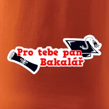 Pro tebe pan Bakalář