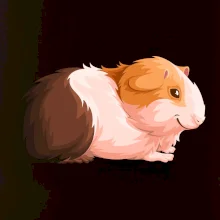 Morče - kreslené z boku