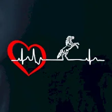 Moje srdce bije pro koně