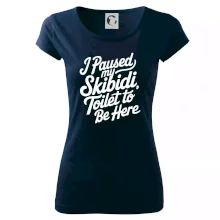 I Paused My Skibidi Toilet to be Here