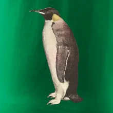 Tučňák kreslený vodovými barvami