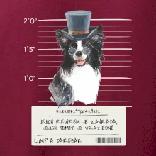 Lump a darebák border kolie