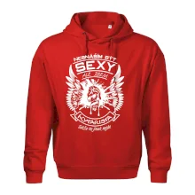 Nesnáším být sexy - kytarista