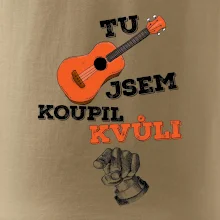 Tu kytaru jsem koupil kvůli tobě