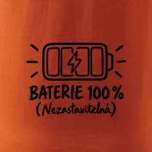 Máma a dítě baterie 100%