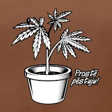 Konopi prostě pěstuju