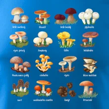 Atlas hub - triko s houbami