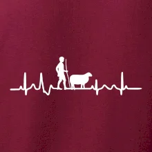 Ekg pastevec ovcí