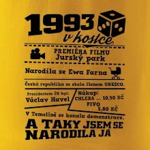 1993 v kostce
