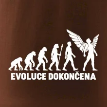 Pilot - Evoluce dokončena