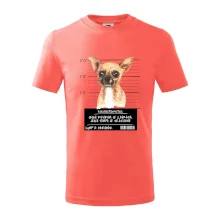 Lump a darebák čivava