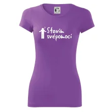 Stavím svépomocí - ikona