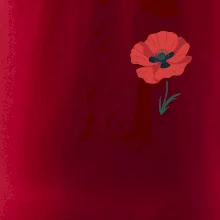 Vlčí mák kreslený na prsu