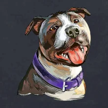 Americký stafordširský teriér  kreslený