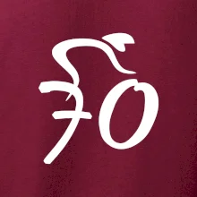 Cyklista slaví sedmdesátku (70)