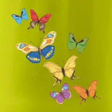 Barevní motýli