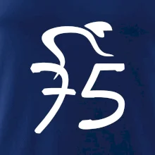 Cyklista slaví pětasedmdesátku (75)