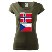 Norská a česká vlajka