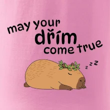 May your dřím come true