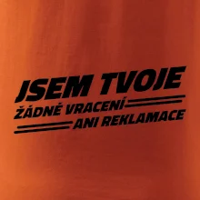Jsem tvoje žádné vracení