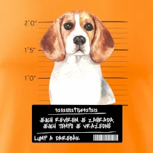 Lump a darebák bígl