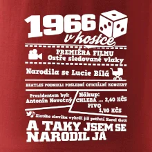 1966 v kostce