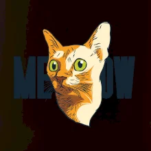 Kočka meow