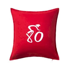 Cyklista slaví osmdesátiny (80)