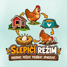 Slepičí režim od krmení po sběr vajec