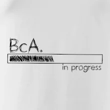 In progress  titul BcA. bakalář / bakalářka umění