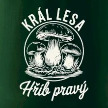 Král lesa hřib pravý