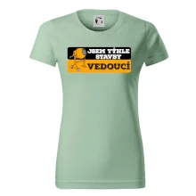 Jsem týhle stavby vedoucí