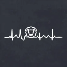 Ekg ovce