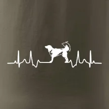 Český strakatý pes EKG