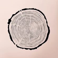 Letokruhy 70 bez věku