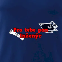 Pro tebe pan Inženýr