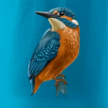 Lednáček kreslený