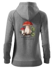 Hřib smrkový - Boletus edulis kreslený