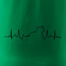 Stafordšírsky bulteriér EKG