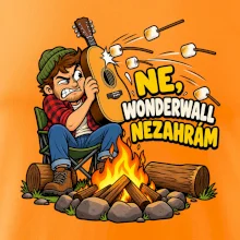 Ne Wonderwall nezahrám
