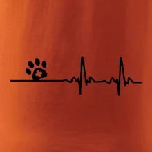 Veterinář EKG