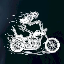 Chopper kostra